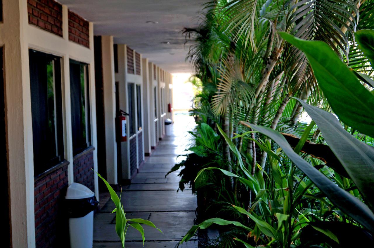 Hotel La Palapa Mazatlán Zewnętrze zdjęcie